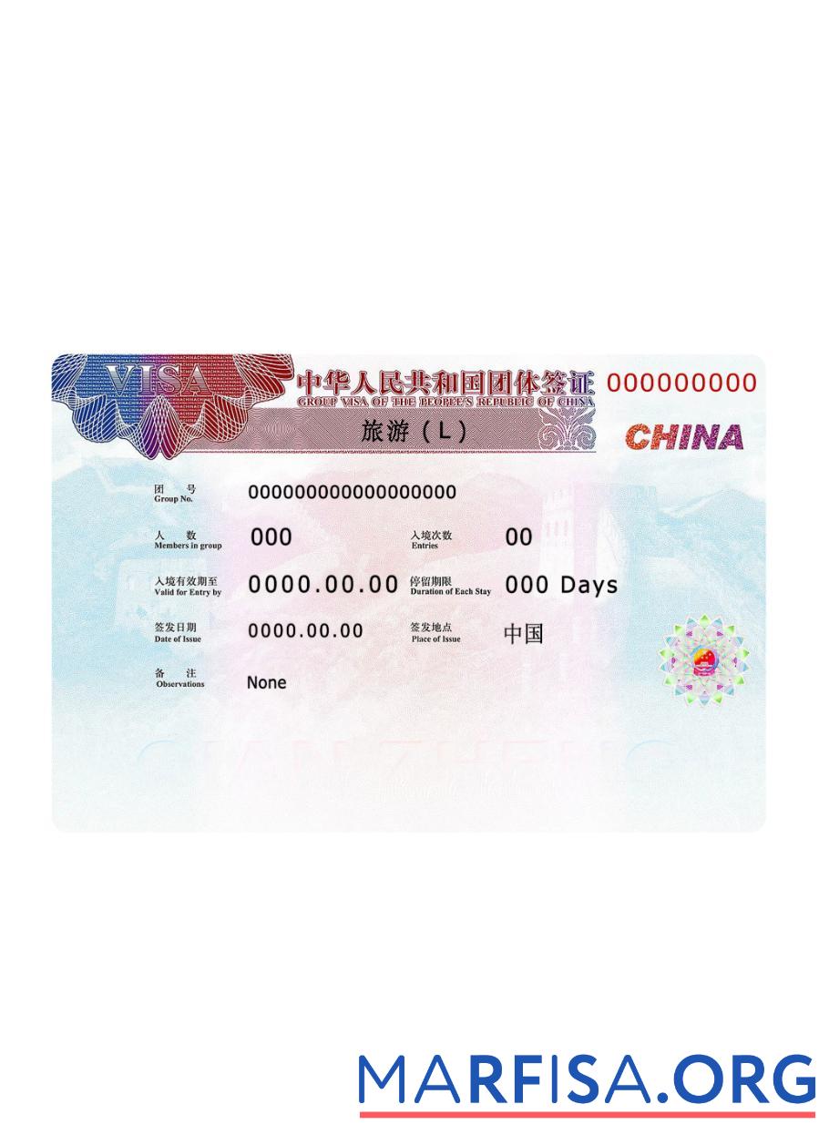 Blank China visa 2019 present template
